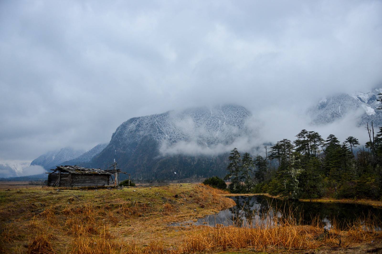 藏地仙境南伊沟,在一个没有阳光的春日,遇到不一样的它__凤凰网