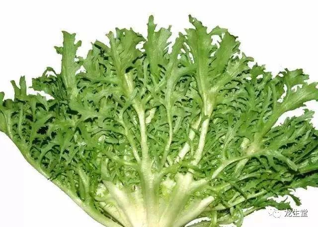 外国的"牛奶菜"你知道是我国的什么蔬菜吗?