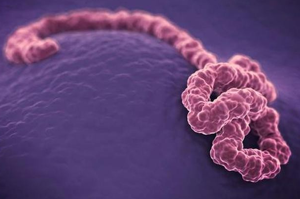 病毒是怎样入侵人体的?