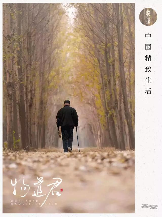 豆瓣94的神仙综艺如果生命的尽头是遗忘谢谢我们曾经相遇