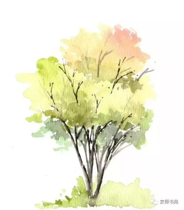 水彩树木的画法及步骤