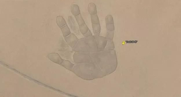 内蒙大地上现巨大手印,网友:你记不记得一招从天而降的掌法?