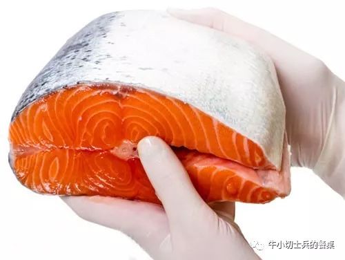 chinook salmon王鮭,又稱大鱗大馬哈魚.