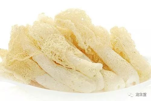 草八珍中的“菌中皇后”__凤凰网
