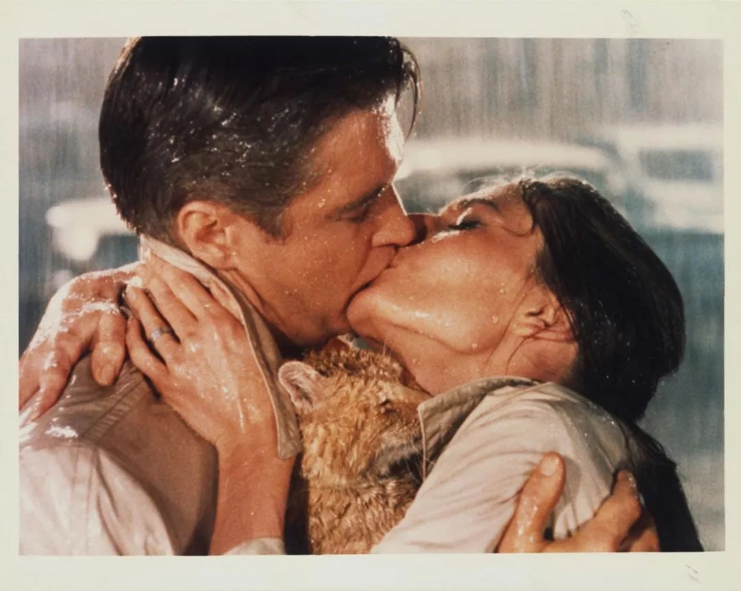 当我们谈论爱情的时候,我们到底在谈论什么?