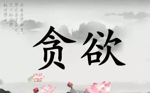 弱势群体过度维权,老师卷钱跑路:若心存贪念,谁都是猛虎