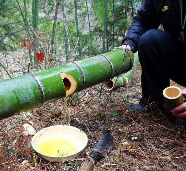 他们这个时候想到酒,只有酒才能很好利用,他们利用好的酒灌入竹子里