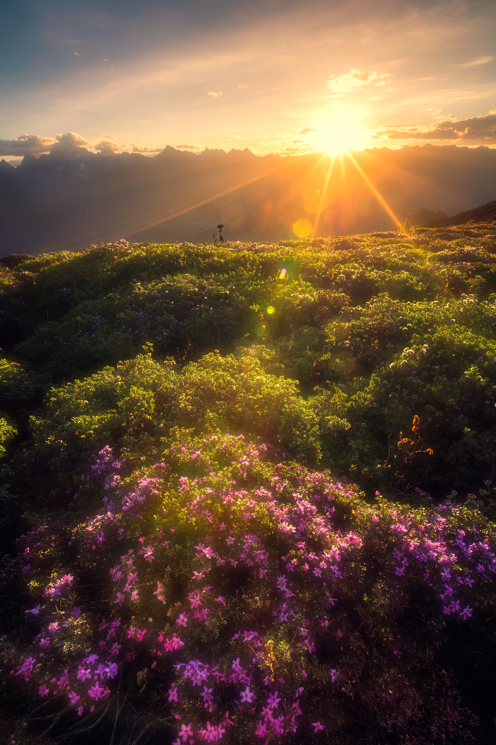 太阳快落山的时候,天晴了. 我和几位同伴,爬上了旁边的山坡,开始拍摄.