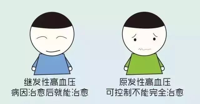 一则生动形象的高血压科普漫画_凤凰网