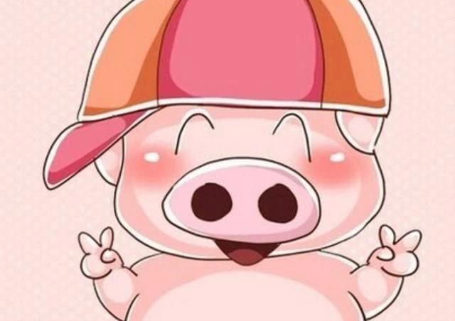 麦兜—隐藏在二次元世界的最大土豪