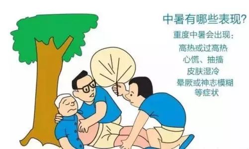 三伏天来了,教您四招防中暑