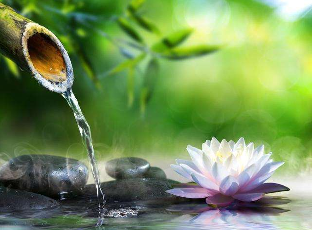 佛说向来缘浅奈何情深一念花开一念花落