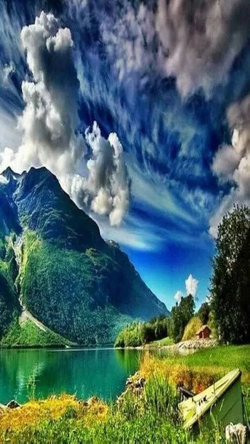 世界那么大，真想去看看__凤凰网