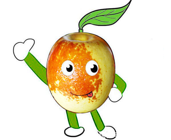 大荔冬枣:经历了暴晒,狂风,大雨,我想我该离开大荔了